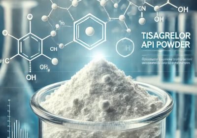 WhatsApp Image 2025-12-25 at 10.27.51 AM